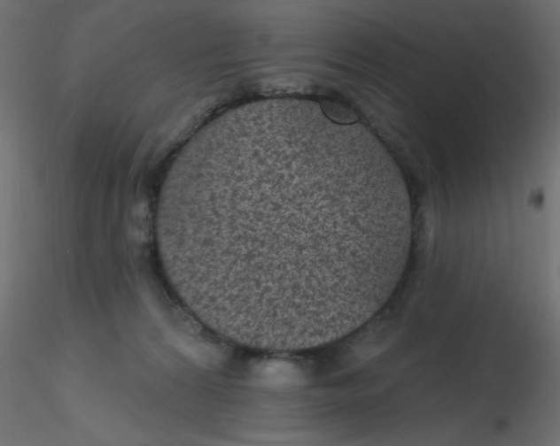 X0000116610224200912312124