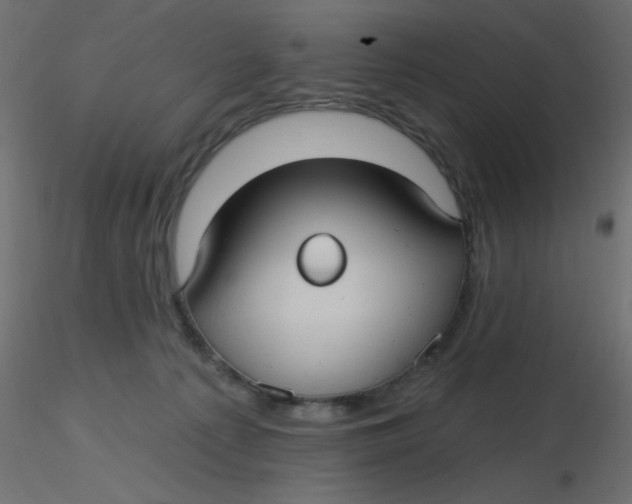 X0000116610225200912312124