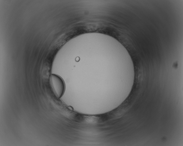 X0000116610226200912312124