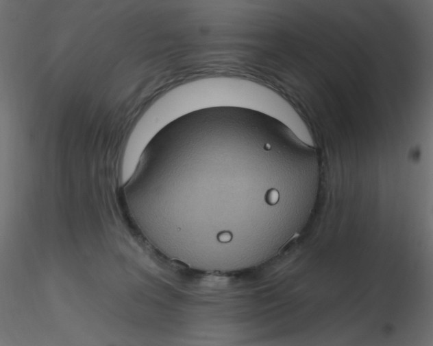 X0000116610227200912312124