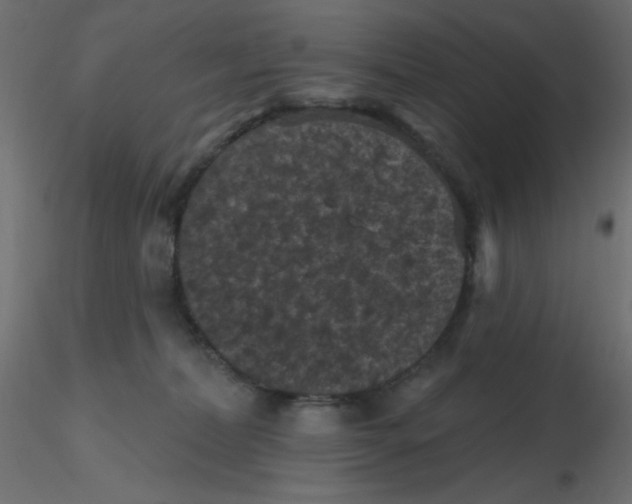 X0000116610228200912312124