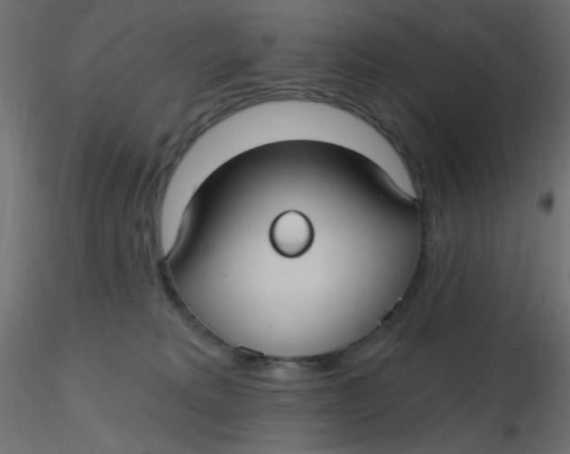 X0000116610229200912312124