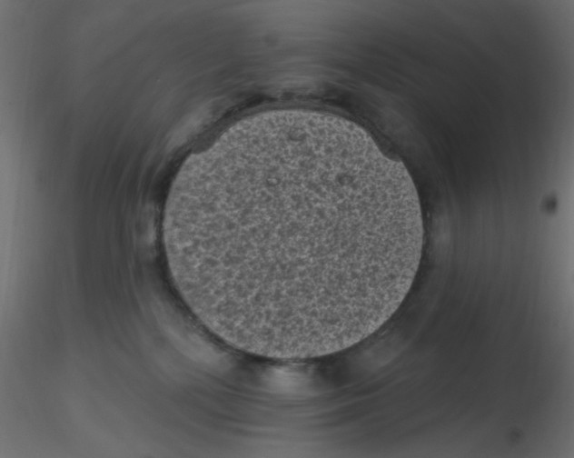 X0000116610232200912312124