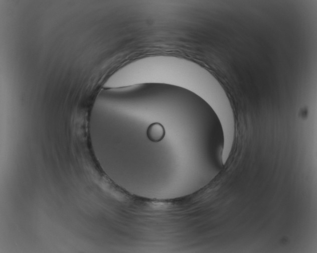 X0000116610233200912312124