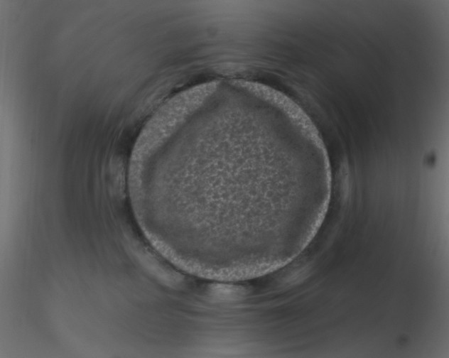 X0000116610234200912312124