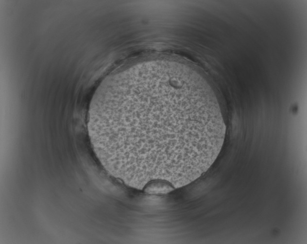 X0000116610236200912312124