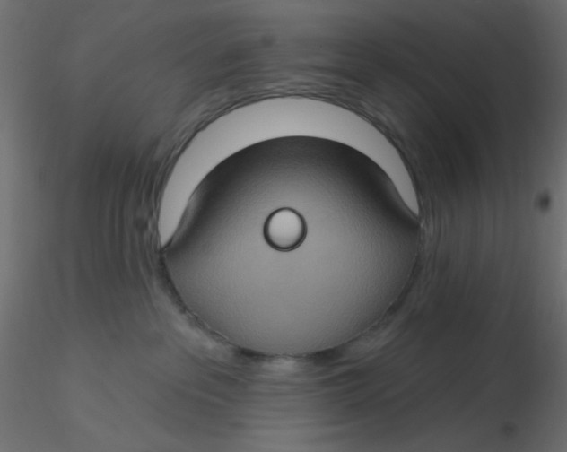 X0000116610237200912312124