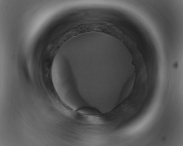 X0000116610239200912312124