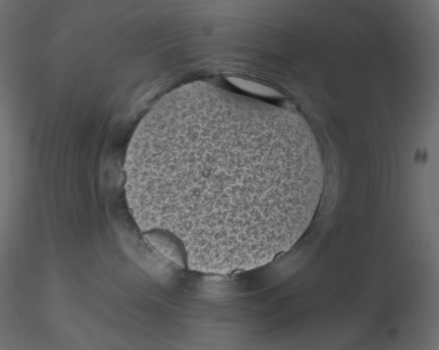 X0000116610240200912312124