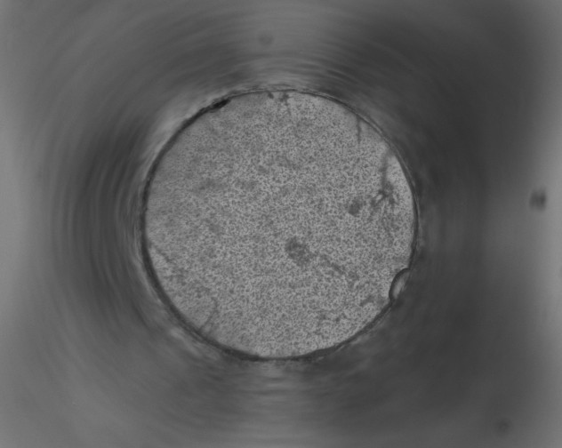 X0000116610241200912312124