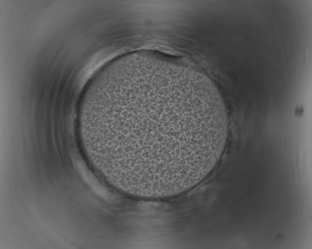 X0000116610242200912312124