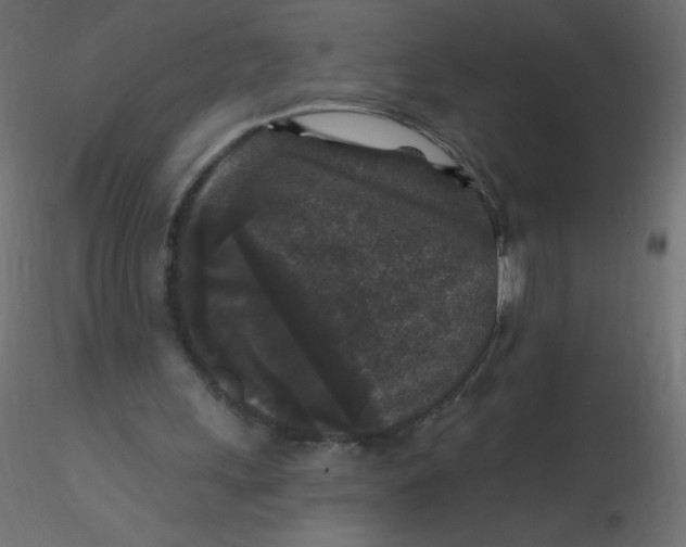 X0000116610243200912312124