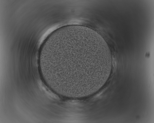 X0000116610244200912312124