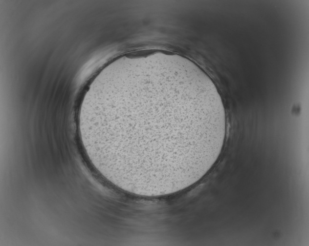 X0000116610245200912312124