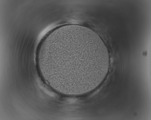 X0000116610246200912312124