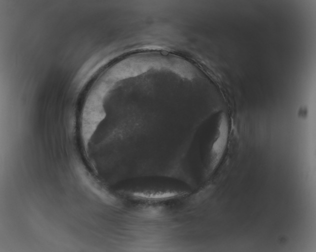 X0000116610247200912312124