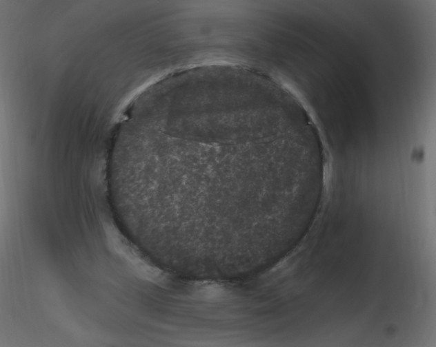 X0000116610249200912312124