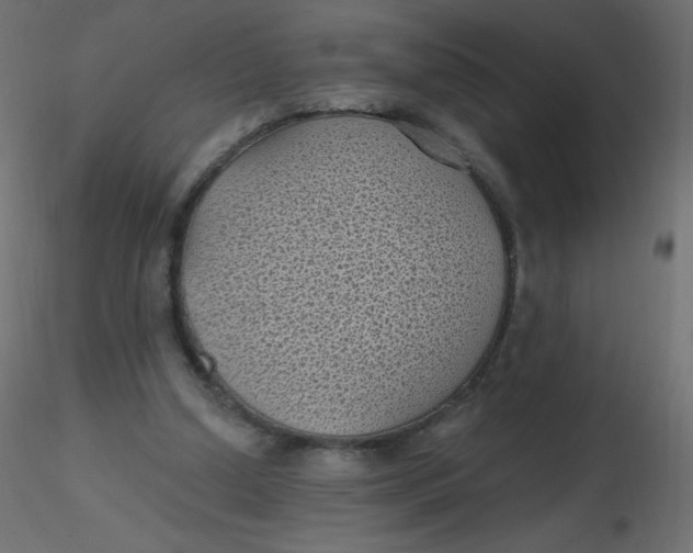 X0000116610250200912312124