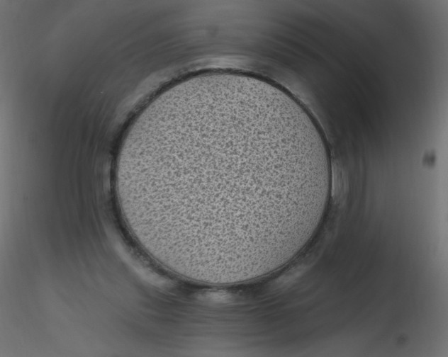 X0000116610253200912312124