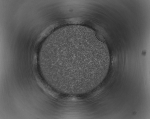 X0000116610254200912312124