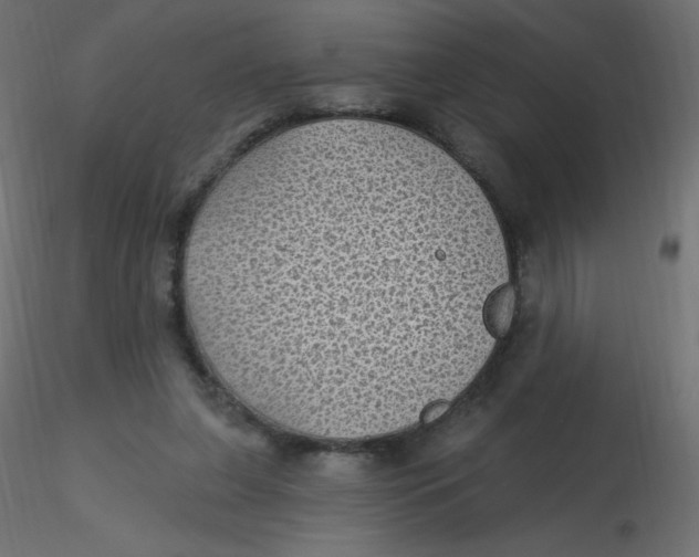 X0000116610255200912312124