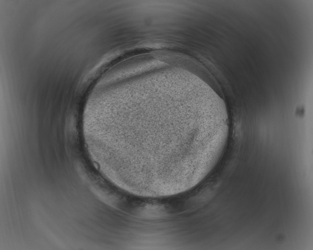 X0000116610256200912312124