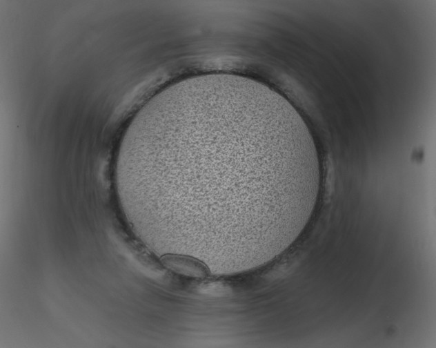 X0000116610258200912312124