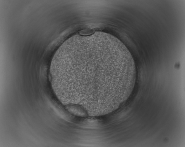 X0000116610260200912312124