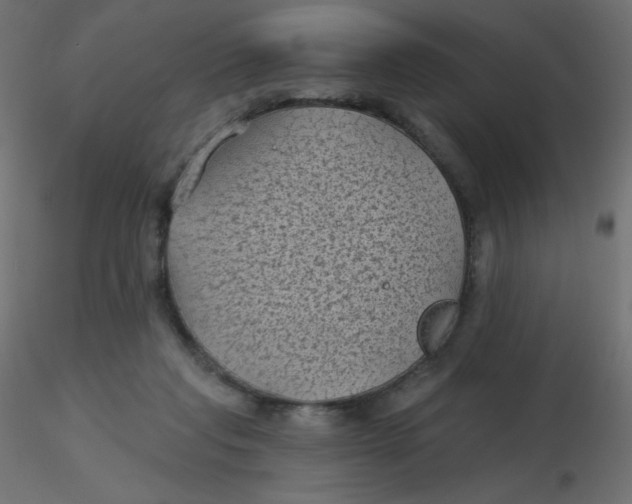 X0000116610261200912312124