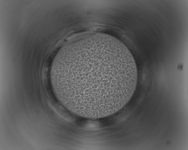 X0000116610263200912312124