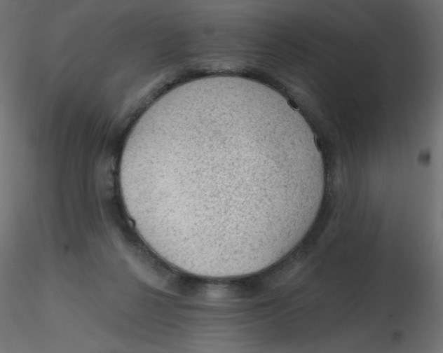 X0000116610264200912312124