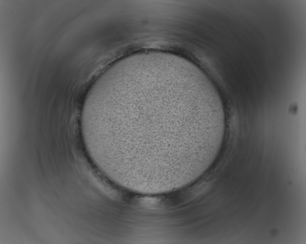 X0000116610265200912312124