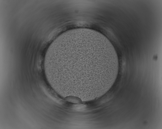 X0000116610266200912312124