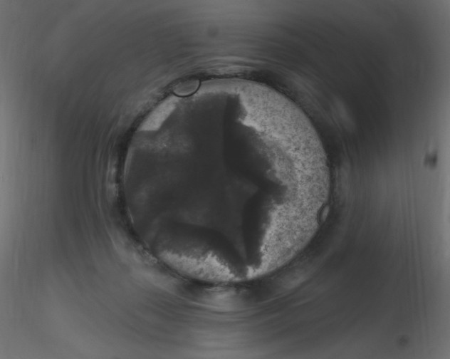 X0000116610267200912312124