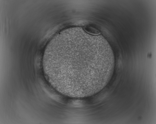 X0000116610268200912312124