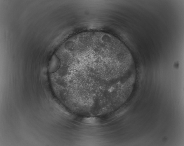 X0000116610269200912312124