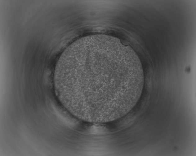 X0000116610270200912312124