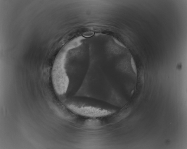 X0000116610271200912312124