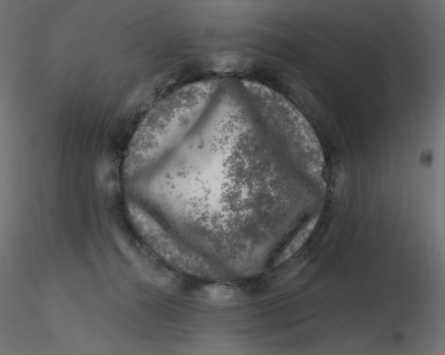 X0000116610272200912312124