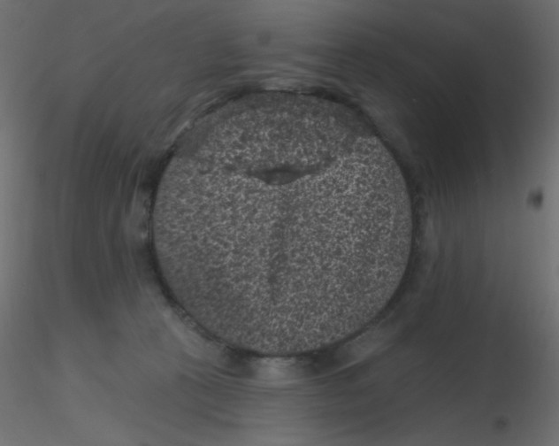 X0000116610273200912312124