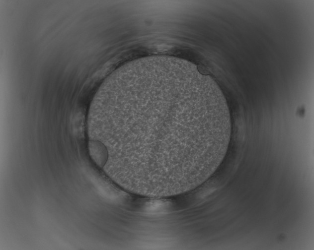 X0000116610274200912312124