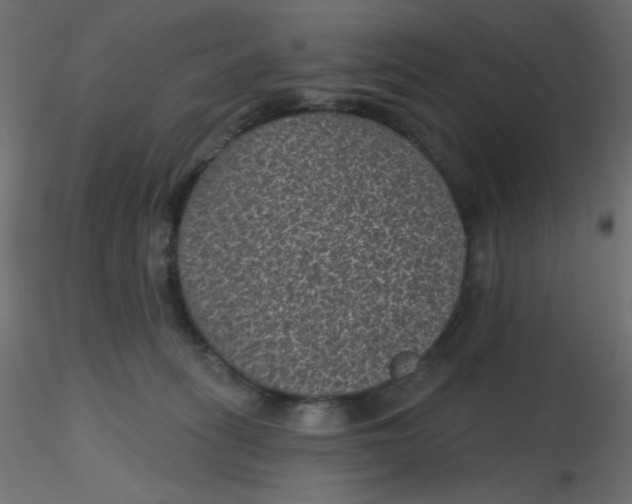 X0000116610275200912312124