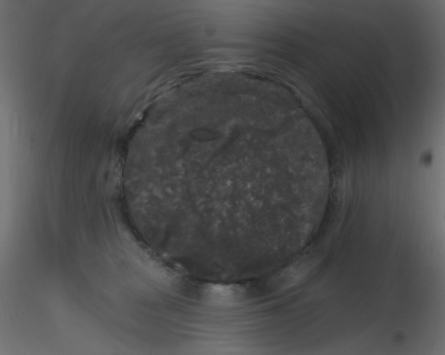 X0000116610277200912312124