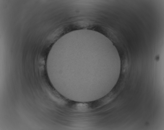 X0000116610279200912312124