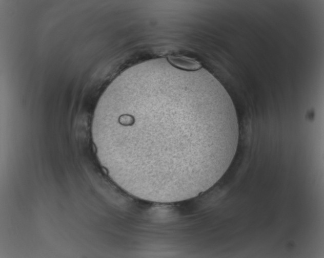 X0000116610280200912312124