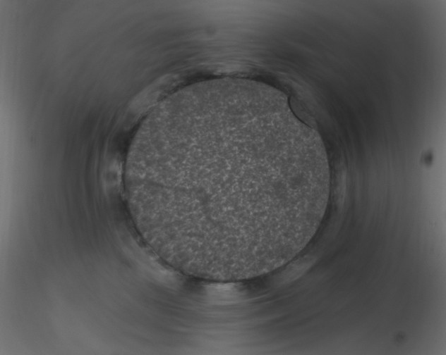 X0000116610281200912312124