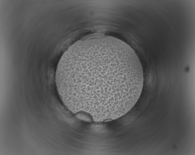 X0000116610283200912312124