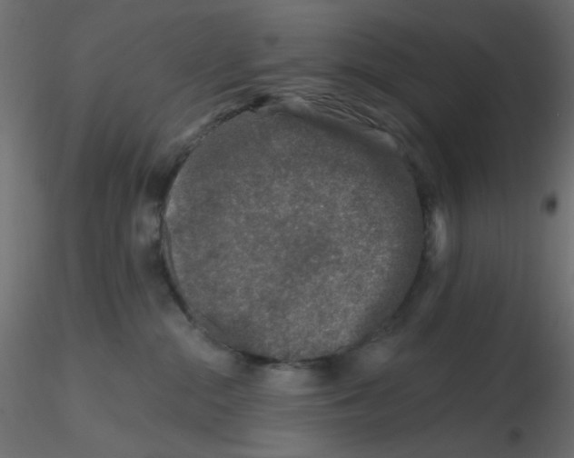 X0000116610284200912312124