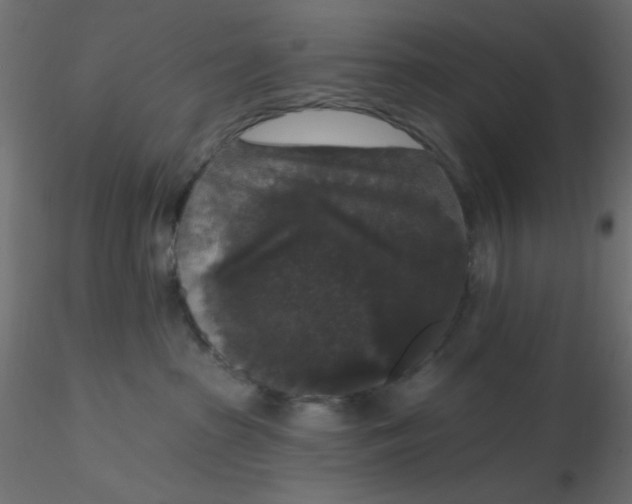 X0000116610285200912312124