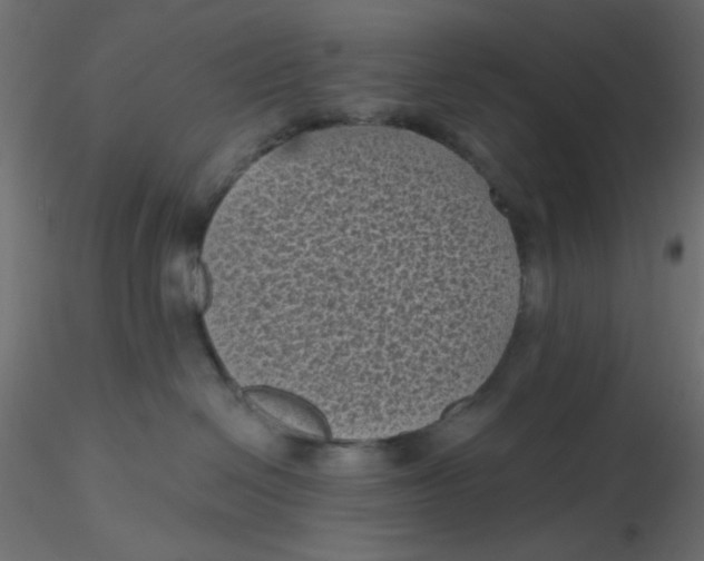 X0000116610286200912312124